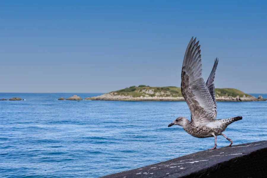 Abflug